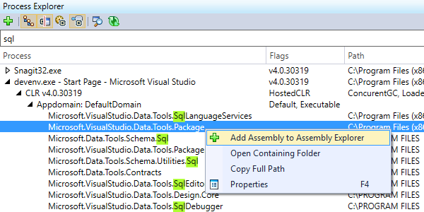 Process Explorer window in dotPeek