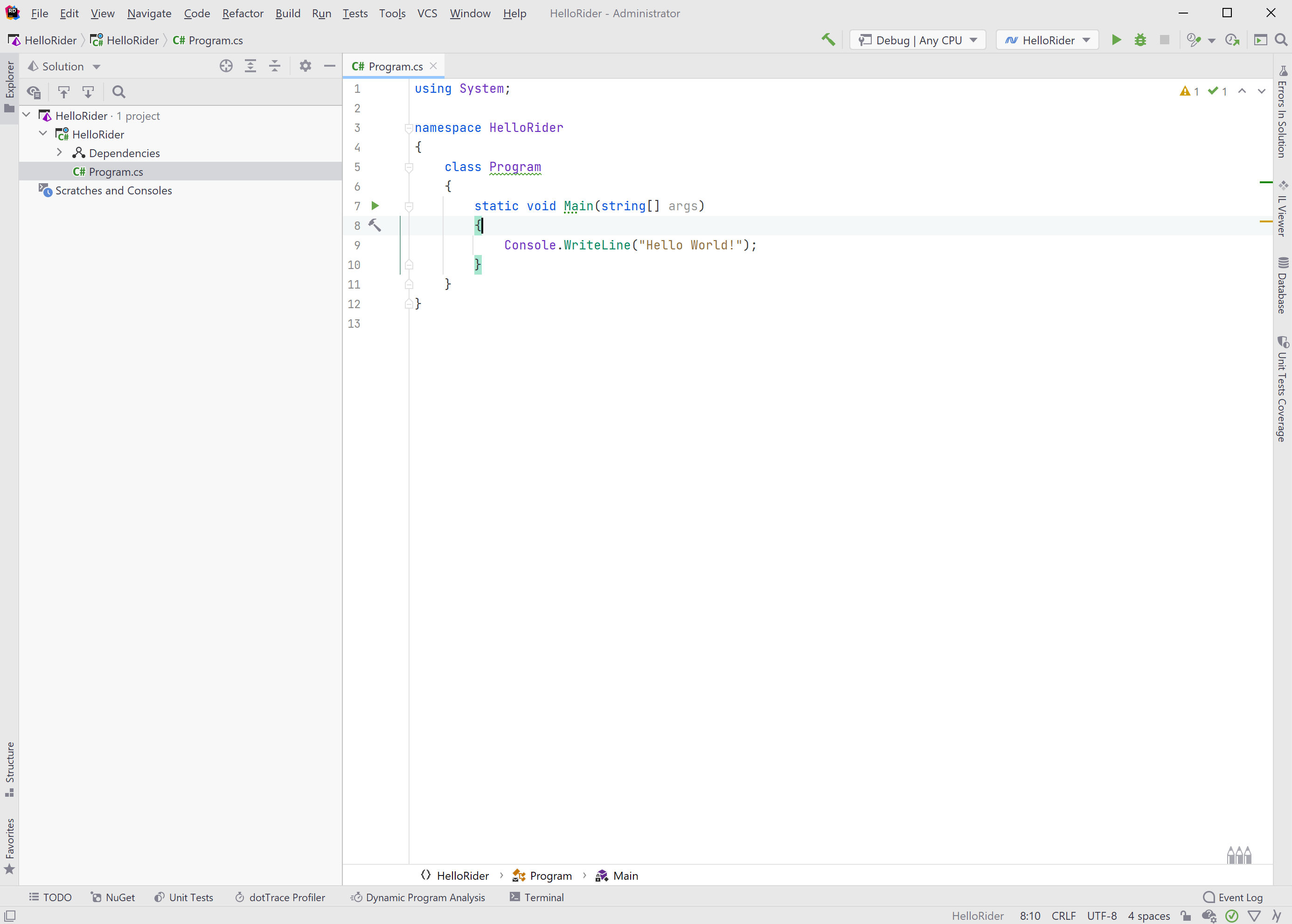 The Rider IDE UI