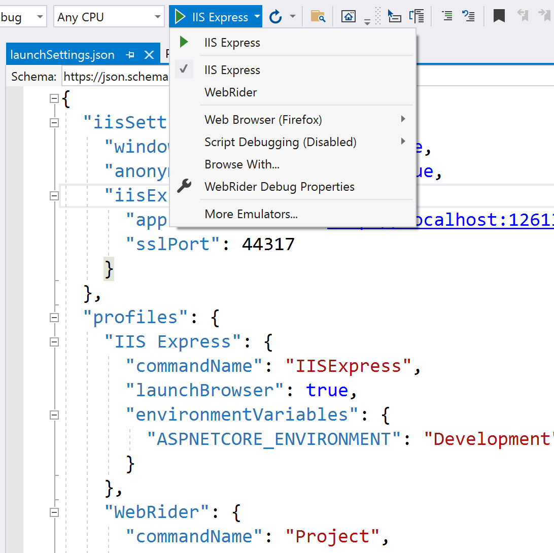 Visual Studio run dropdown showing launch settings