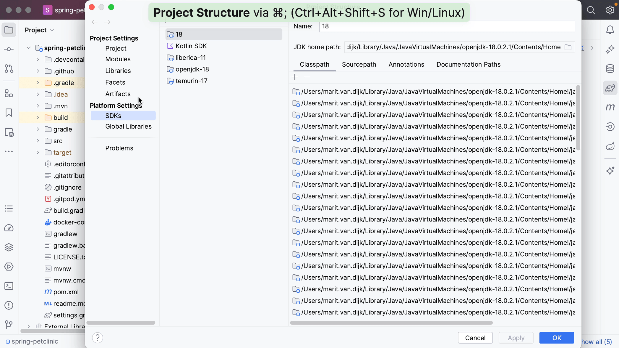 Project Settings