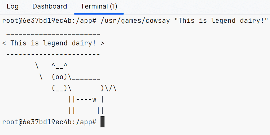 Connect to a Running Docker Container Shell