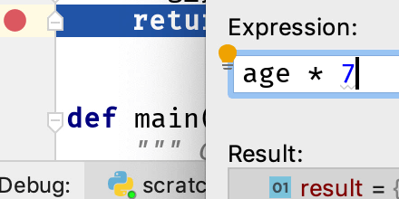 Evaluate Expression During Debugging