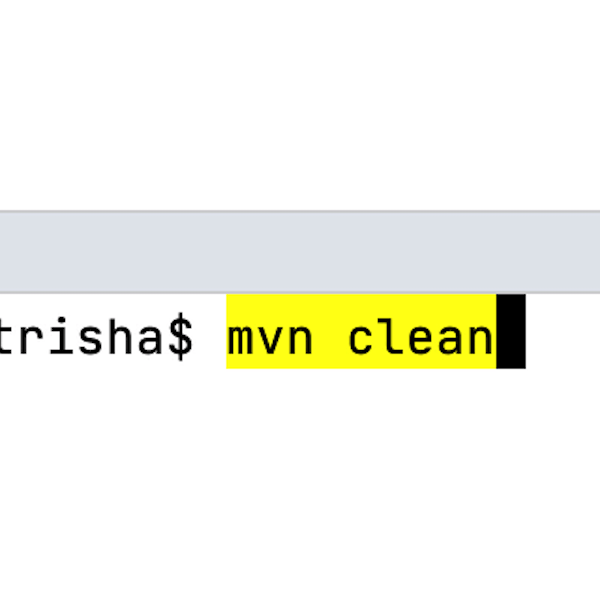 Run IDE features from the terminal