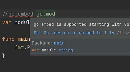 Declare a Targeted Go Version in go.mod