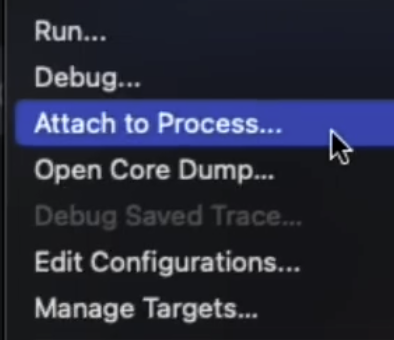 Attach the Debugger to a Running Go Processes