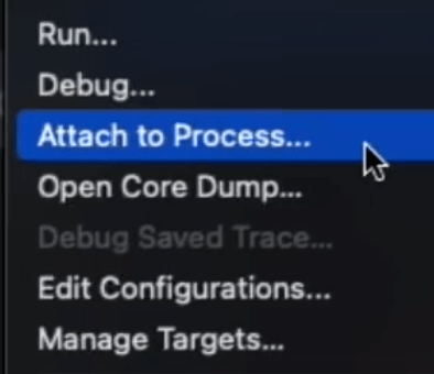 Attach the Debugger to a Running Go Processes