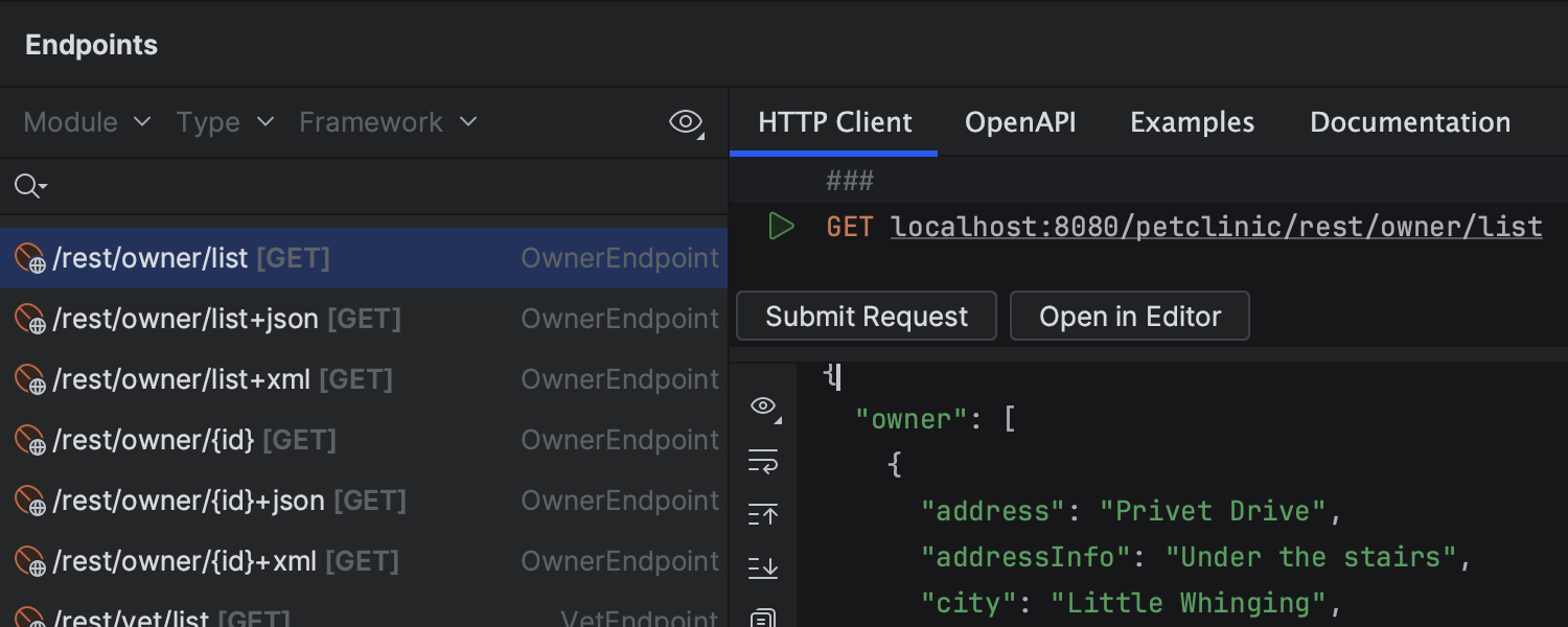 Endpoints tool window