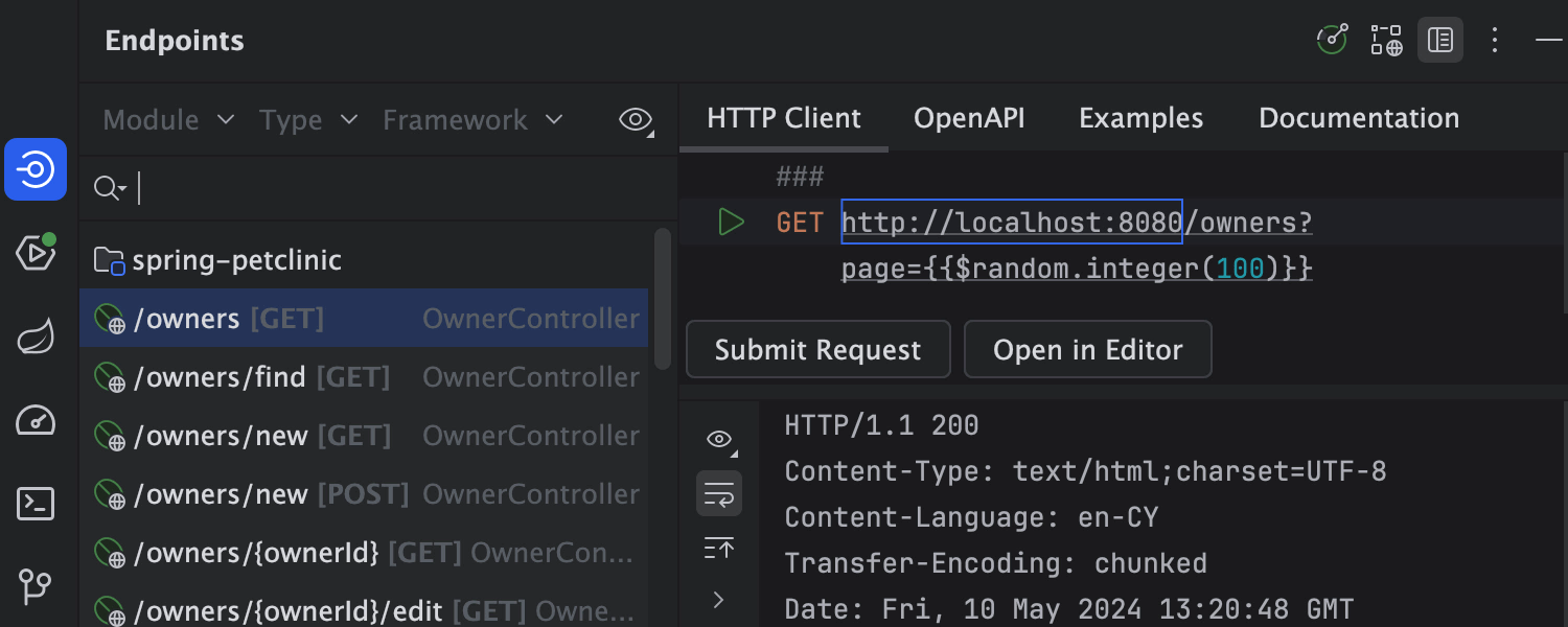 Endpoints-Toolfenster