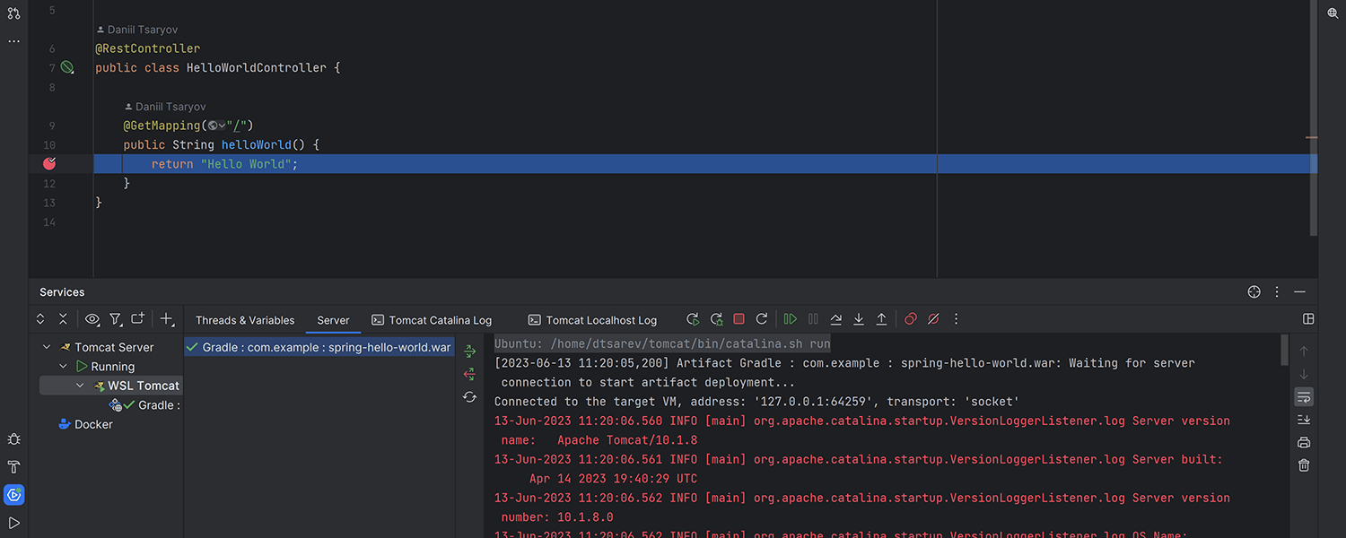 Capacité d'exécuter et de déboguer Tomcat dans WSL