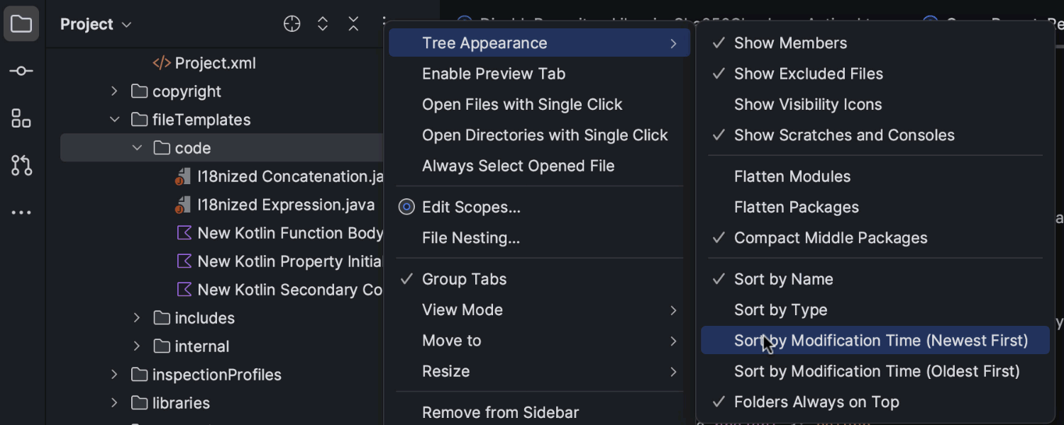 Ordenación de archivos por hora de modificación en la vista Project