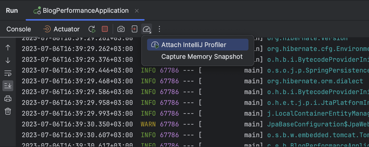 Profiling features available from the Run tool window