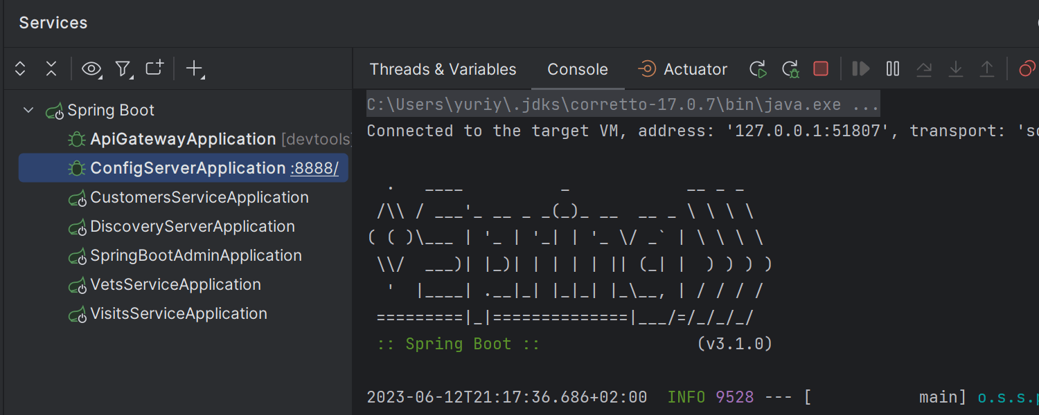 Aktualisierte Bedienung für das Run/Debug-Widget im Services-Toolfenster