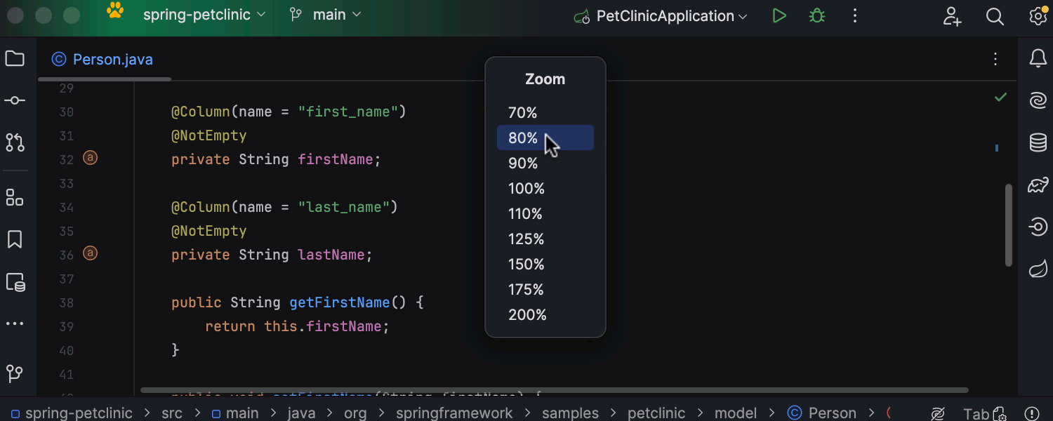 Option zum Herunterskalieren der gesamten IDE