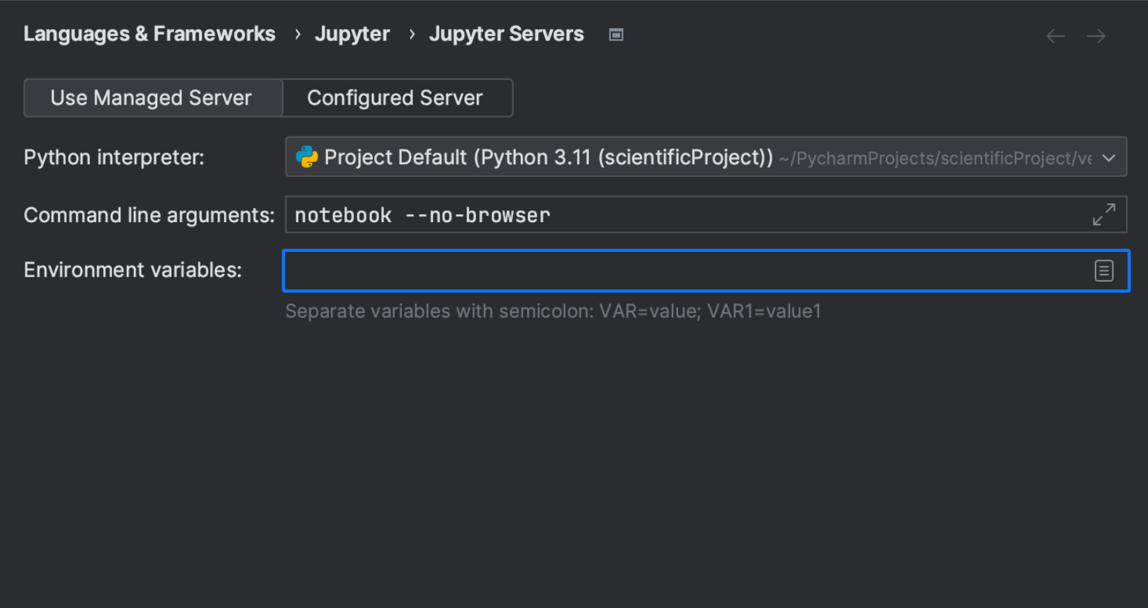 Opção para configurar servidores gerenciados do Jupyter