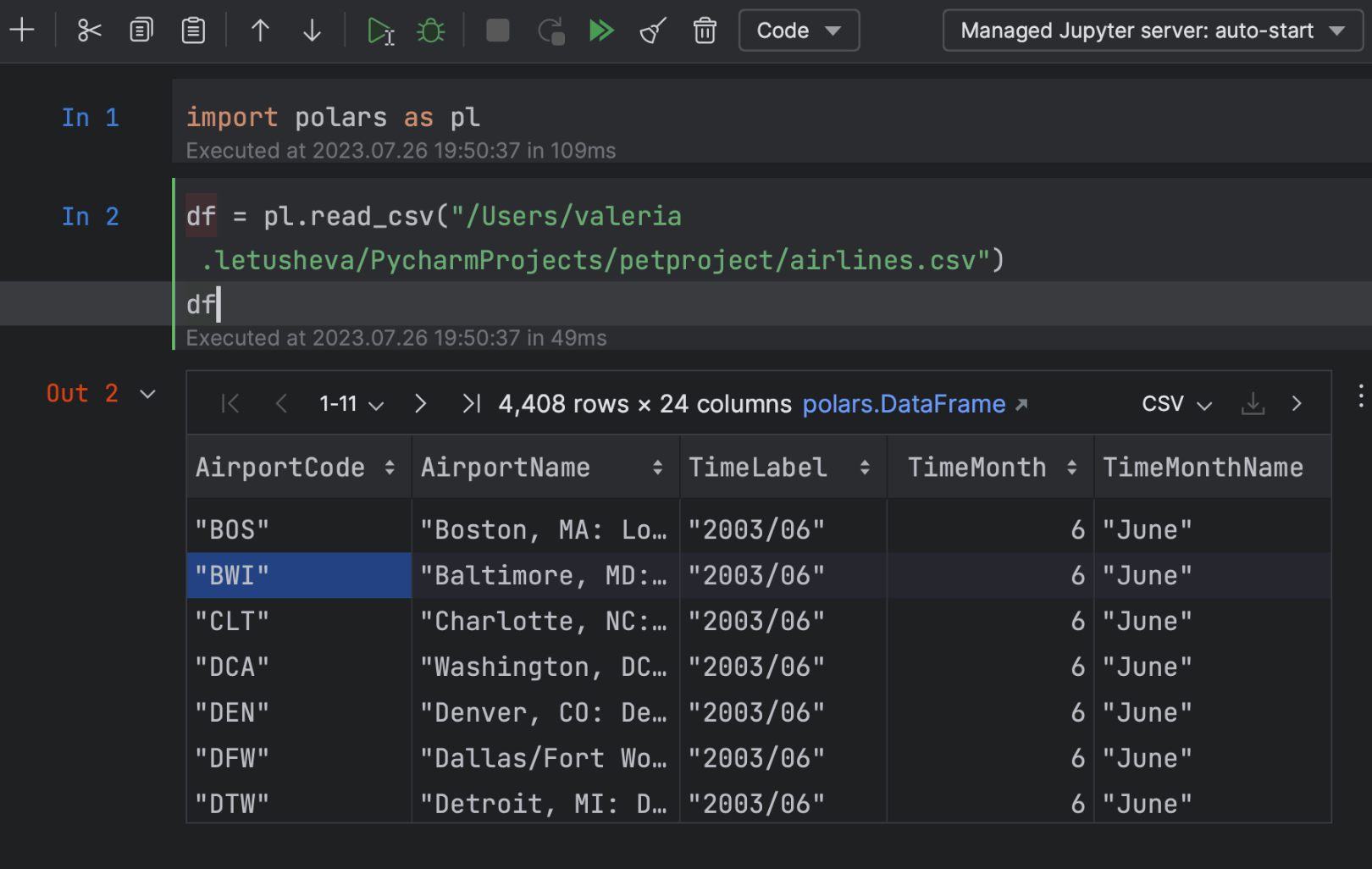 Polars DataFrame のサポート